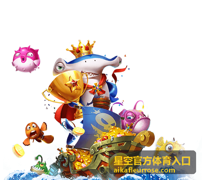 星空官方体育入口会员内容回看界面